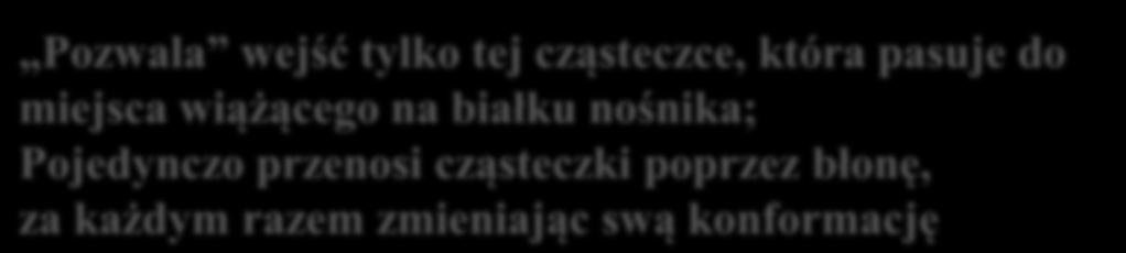 która pasuje do miejsca wiążącego na białku nośnika; Pojedynczo przenosi cząsteczki