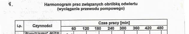 W przykładzie 2 w wykazie odzieży ochronnej podano trzewiki ochronne. Wskazane jest użycie określenia buty ochronne (obuwie ochronne, obuwie robocze).