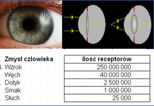 Istotna cecha wszystkich fal elektromagnetycznych jest ta sama wartość prędkości rozchodzenia się fali, tj. c 2, 99 10 8 m/s. 11 dr inż.