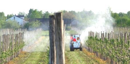 Definicje Znoszenie (spray drift) Fizyczne przemieszczanie się środka ochrony w powietrzu, podczas wykonywania zabiegu lub bezpośrednio po, z opryskiwanego obiektu na obiekt nieopryskiwany Część