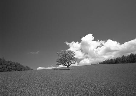 Jeśli cechą fotografowanego obiektu jest płynny ruch, jak w przypadku rzeki, to wydłużenie czasu ekspozycji pozwoli na ukazanie tej płynności.