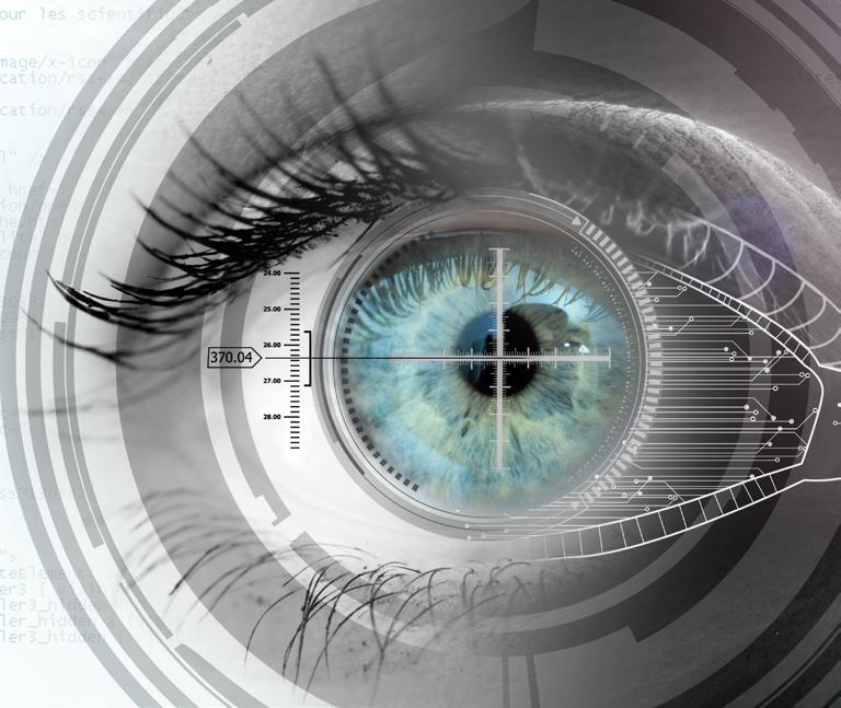 W 2001 roku odkryto, że oko zbudowane jest z trzech fotoreceptorów, a nie tak jak do tej pory sądzono jedynie z dwóchpręcików i czopków.
