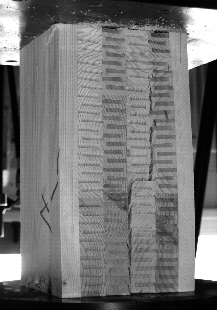 Compression strength of three-layer cellular wood panels 111 with ribs and top layers of solid timber, showed a compression strength characteristic value close to the compression strength