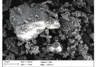 Badania na mikroskopie skaningowym (rys. 14 i 15) obrazują pośrednie rozdrobnienie ziaren struktury enamelu w stosunku do wcześniej badanych materiałów.