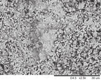 W Rys. 4. Dyfraktogramy rentgenowskie azbestocementu w stanie surowym (a) oraz po przeprażeniu w 1200 C przez 2 h (b). Fig. 4. X-ray diffraction patterns of cement-asbestos in its raw state (a) and after calcination at 1200 C for 2 h (b).