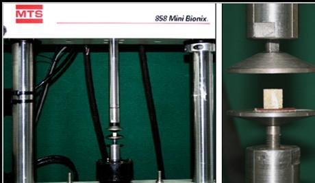 charakterystyk naprężenie odkształcenie uzyskanych w teście jednoosiowego ściskania z użyciem maszyny 858 MTS Mini Bionix (Rys. 6B). Prędkość odkształcenia wynosiła 0,01s -1.