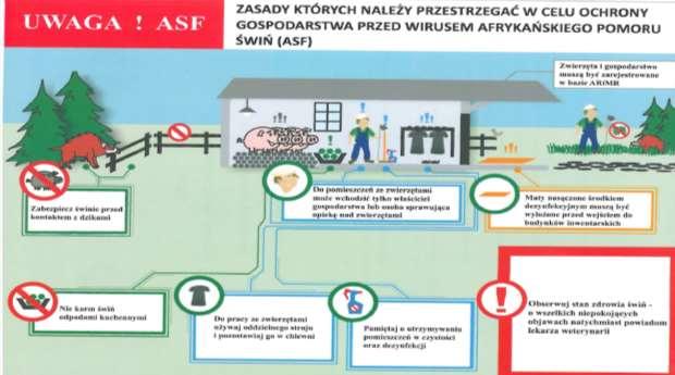 Działania zapobiegające wystąpieniu ASF w woj.