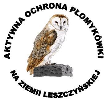 Aktywna ochrona płomykówki Tyto alba na