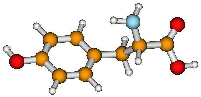 Cegiełki życia: aminokwasy grupa karboksylowa grupa