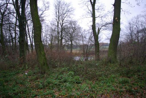 Dziennik Urzędowy Województwa Łódzkiego 26 Poz. 3387 Park dworski w Ostrowie Park dworski o charakterze krajobrazowym powstał w poł. XIX w. i położony jest ok.