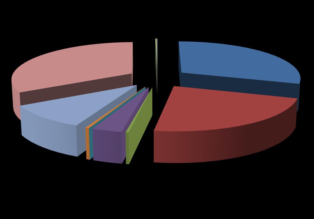 studenckich 33,01% koszty prowadzenia stołówek studenckich 0,21% pozostałe koszty 0,09% stypendia