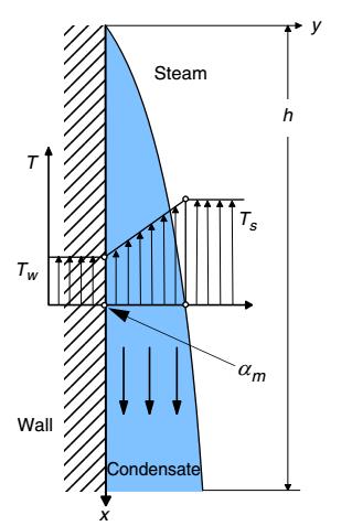 Rysunek 3.