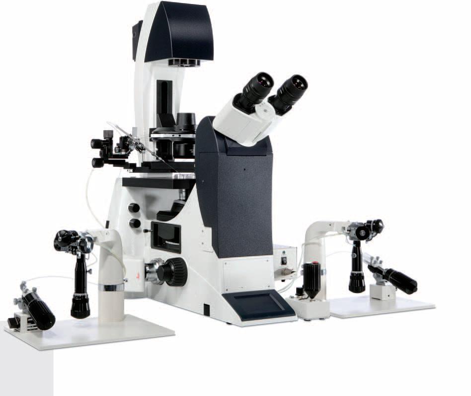 Mikromanipulacje Mikroskop odwrócony Leica DMI3000 B Stolik do mikromanipulacji z jego wąska konstrukcją pozwala na łatwe przystosowanie do mikromanipulatorów.