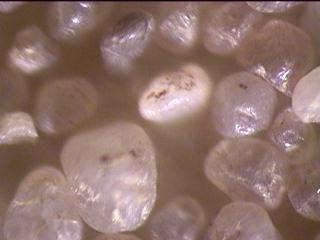 Microscopic pictures of fresh sand morphology from