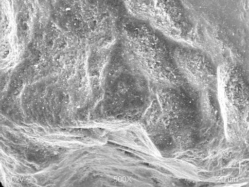 80x) Microscopic pictures of sands morphology after being subjected to 9 thermal reclamation cycles and supplementary mechanical treatment (on left magnif.