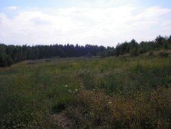 .pl projektowi umowy i odrobinę ponegocjować. Trochę inaczej sprawa wygląda przy zawieraniu umów kupna-sprzedaży.