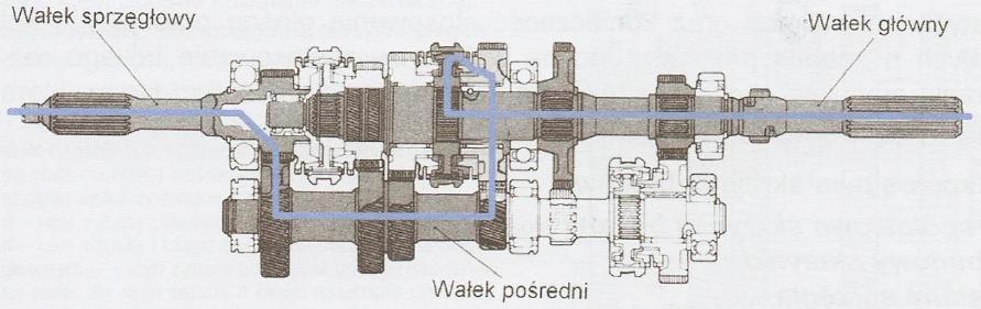 BIEGÓW Podział w