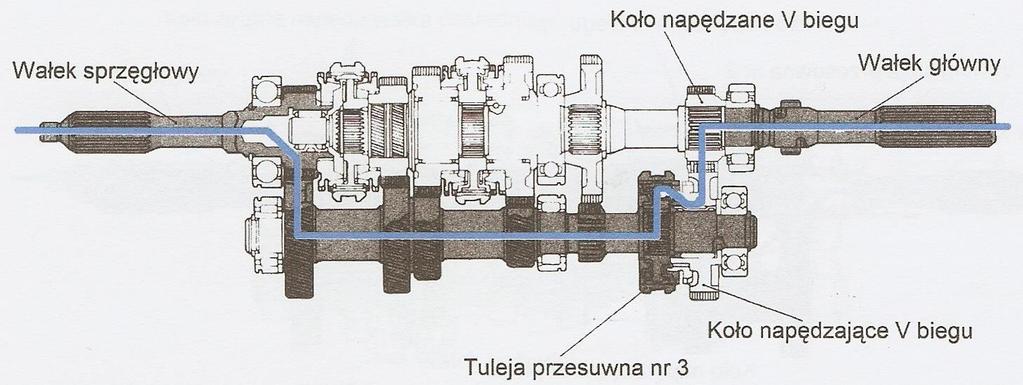 BIEGÓW