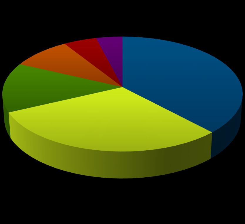 Epidemiologia Przyczyny urazów rdzenia USA 2010-2015 9,00% 5,00% 14,00% 4,00%