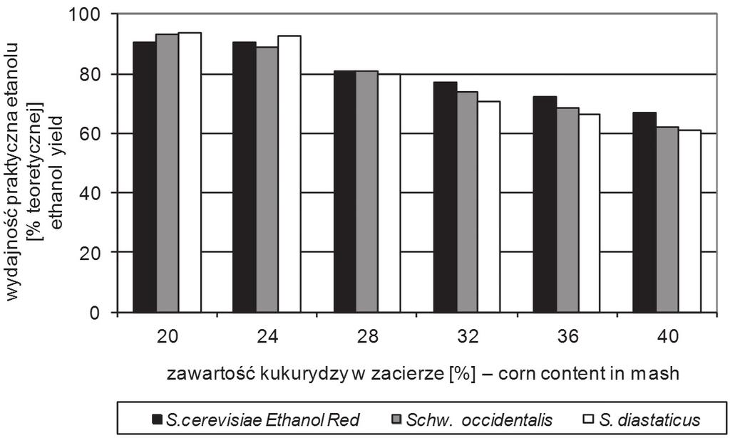 Final effect of fermentation of corn mashes of inreasing raw material