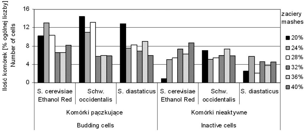 nych komórek drożdży oceniany ilością komórek pączkujących i nieaktywnych (rys. 18).