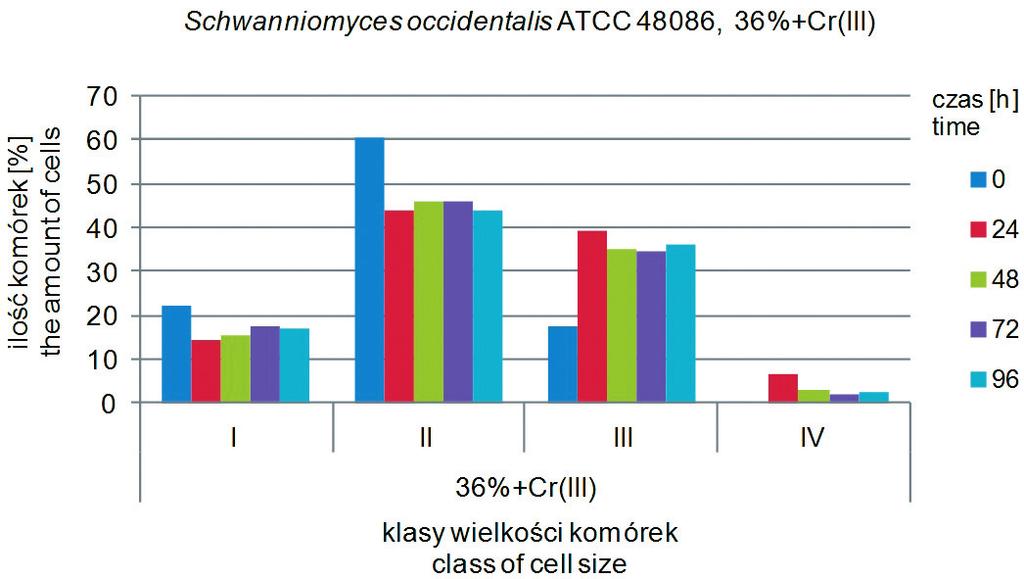 fermentacji przefiltrowanych zacierów kukurydzianych 20 i 36% w obecności 60 mg l -1 Cr(III) i bez jego