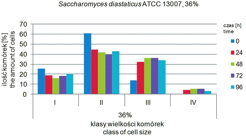 fermentacji przefiltrowanych zacierów kukurydzianych 20 i 36% w obecności 60 mg l -1 Cr(III) i bez jego