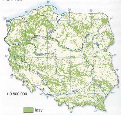 1. Baza surowcowa (zasoby surowców) Przemysł drzewno-papierniczy oraz meblarski rozwinął się na terenach o średniej i dużej