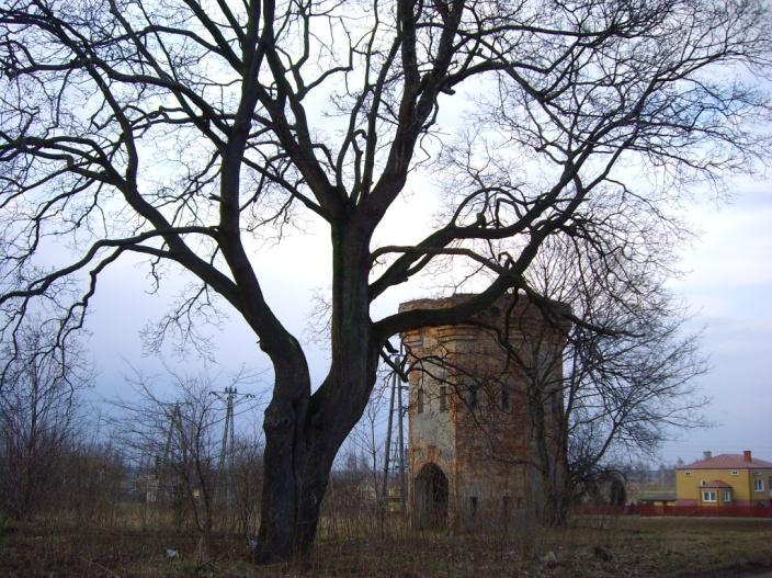 W tym samym czasie do Niemiec (Niemce k. Lublina, nie Niemcy k.