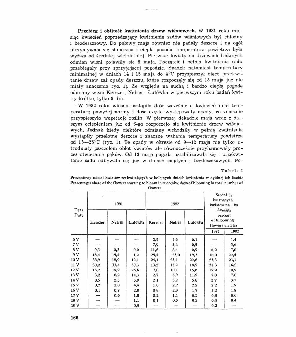 Przebieg i obfitość kwitnienia drzew wiśniowych. W 1981 roku miesiąc kwiecień poprzedzający kwitnienie sadów wiśniowych był chłodny i bezdeszczowy.