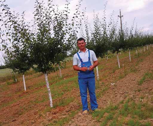 În primul an, pe 0,87 ha a fost cultivat porumb, echivalentul a 0,185 UDE, iar pe 1,13 ha, pruni, echivalentul a 2,401 UDE. Beneficiarul mai deține doi porci și 50 de găini.