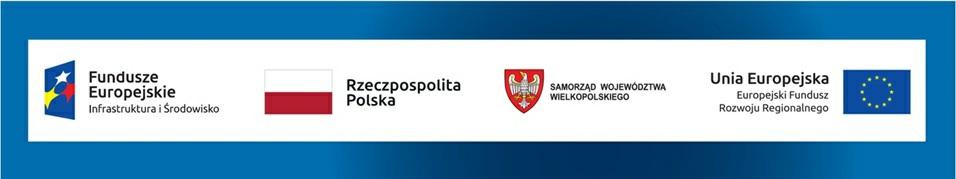 Jeśli jednak nie masz możliwości, aby na swojej stronie umieścić zestawienie znaku FE, barw RP i znaku UE w widocznym miejscu zastosuj rozwiązanie nr 2.