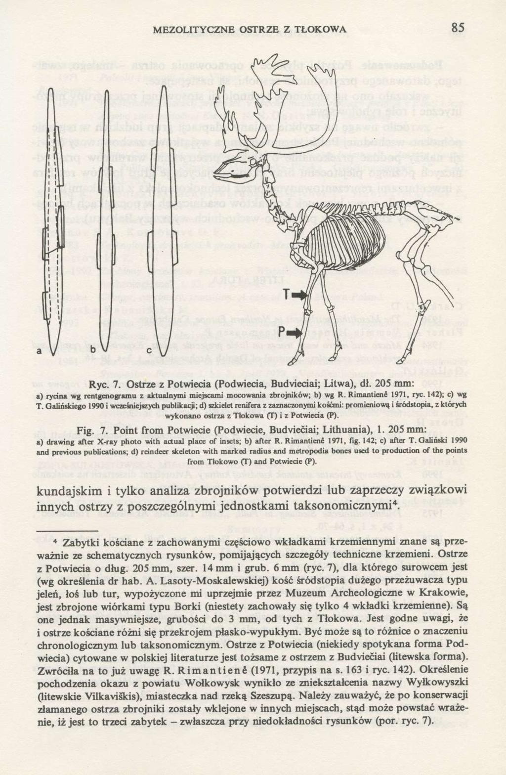 MEZOLITYCZNE OSTRZE Z TŁOKOWA 85 Ryc. 7. Ostrze z Potwiecia (Podwiecia, Budvieciai; Litwa), dł. 205 mm: a) rycina wg rentgenogramu z aktualnymi miejscami mocowania zbrojników; b) wg R.