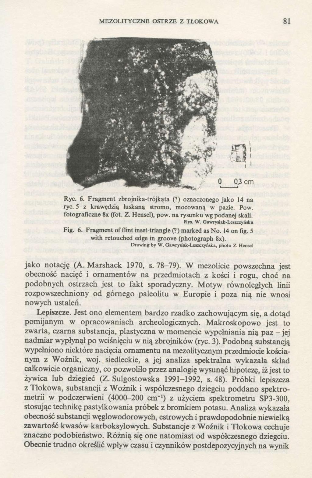 MEZOLITYCZNE OSTRZE Z TŁOKOWA 81 Ryc. 6. Fragment zbrojnika-trójkąta (?) oznaczonego jako 14 na ryc. 5 z krawędzią łuskaną stromo, mocowaną w pazie. Pow. fotograficzne 8x (fot. Z. Hensel), pow.