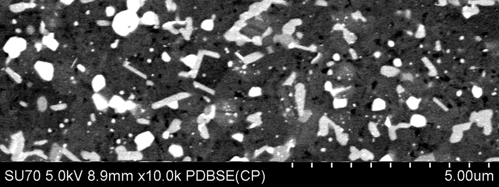 Microscopic observations did not indicate discontinuities in microstructure of RS442 alloy, confirming its full consolidation in extrusion process (Fig.