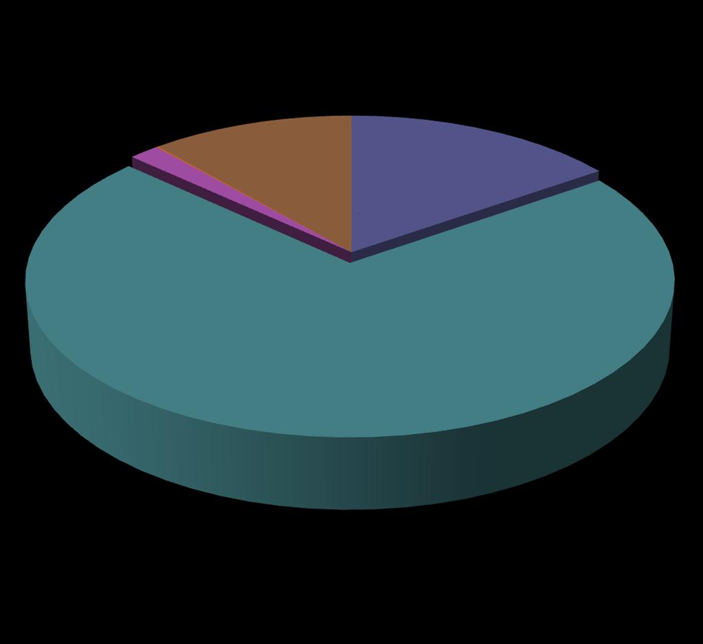 Dotacja przedmiotowa (dla ZGM) 0,11% 270.000,00 1,71% 11,40% 15,39% Dotacja podmiotowa (dla instytucji kultury) 1.252.800,00 Dot.