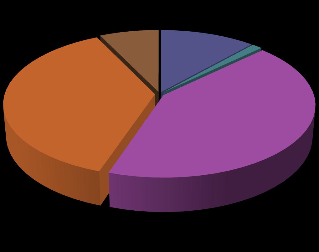 7,21% 11,60% 1,25% Kolonie i