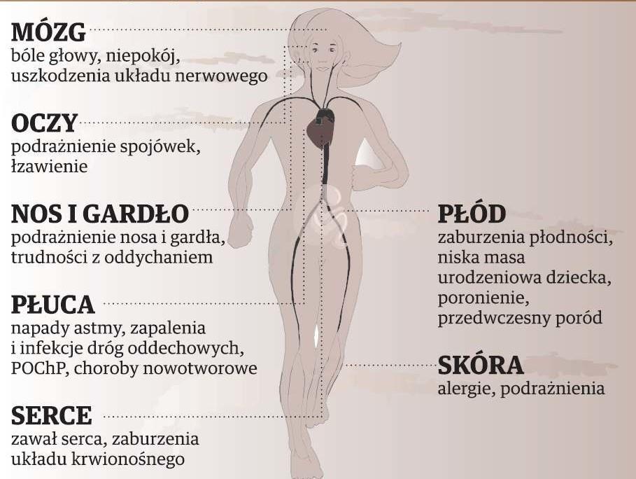 Jak smog wpływa na nasze