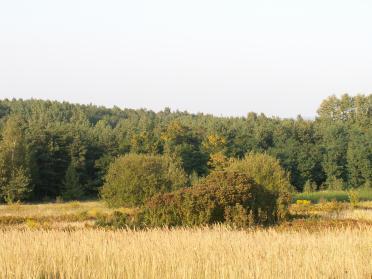 Strome są stoki o wystawie wschodniej, południowej i zachodniej.