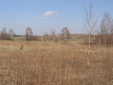 Od północy ogranicza ją polne przedłużenie ulicy Urocza, od południa polne przedłużenie ulicy Dębowa, która jest tutaj zarazem granicę pomiędzy sektorami.