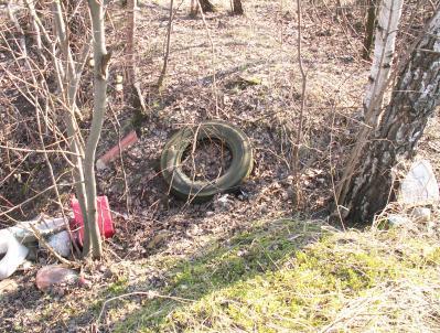 Tutaj zdecydowaną granicę stanowi droga, którą wchodzi się w cypel Żydowskiego Lasu nieopodal bramy wjazdowej do Zakładu Gospodarki Odpadami Komunalnymi.