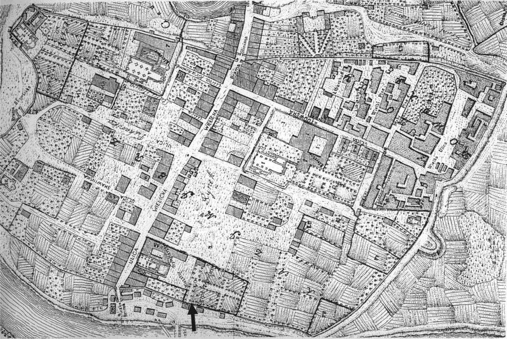 Fragment der städtischen Wehrmauer des Krakauer Kazimierz... 343 Abb. 1 Kraków-Kazimierz Fragment des sog. Kołłątaj - Stadtplans von Krakau aus dem Jahr 1785.