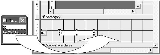 208 Access w biurze i nie tylko Udostępniając źródło danych (np. tabelę) użytkownikowi, możemy wprowadzić określone ograniczenia w procesie przetwarzania danych.