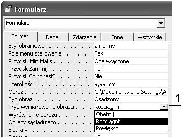 Rozdział 4. Formularze, formanty i raporty 213 Rysunek 4.43.