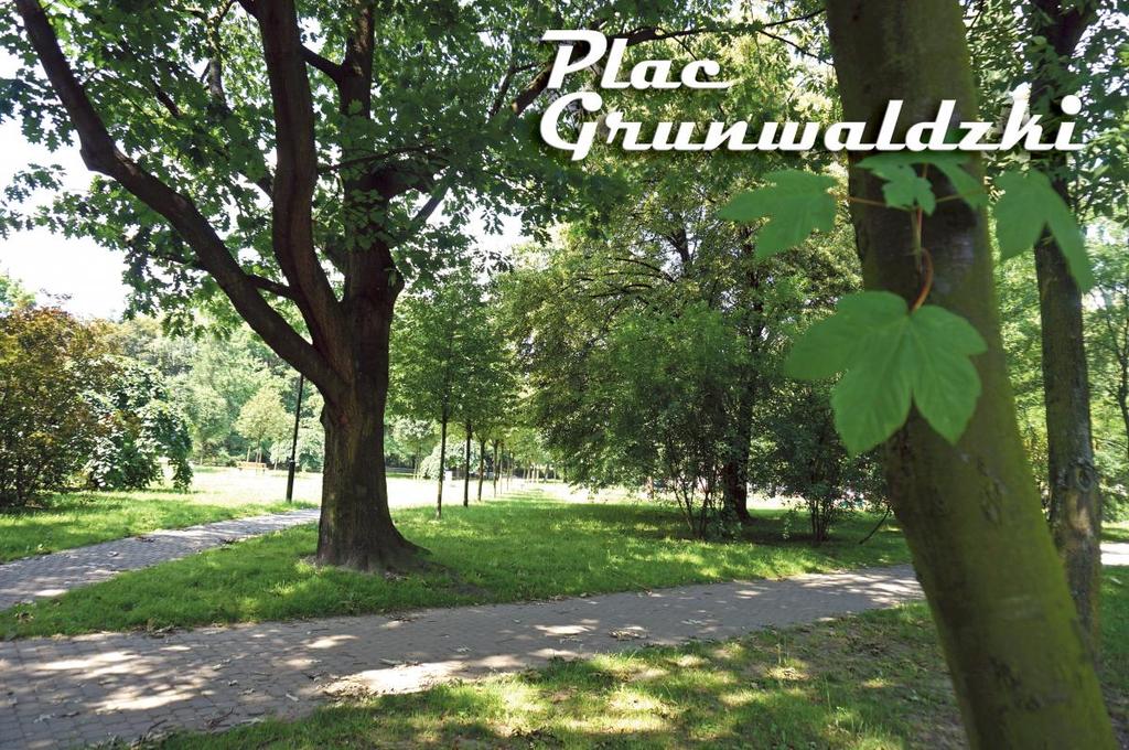 Latem w parku wyświetlane są filmy i bajki w ramach kina plenerowego, a zimą park zdobi tunel świetlny, na tle którego
