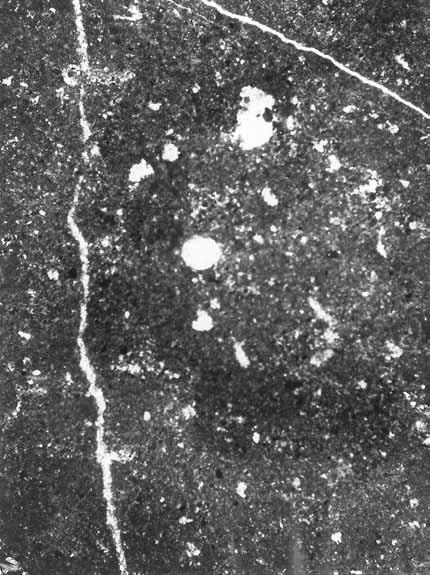 Dewon 53 Fig. 6.