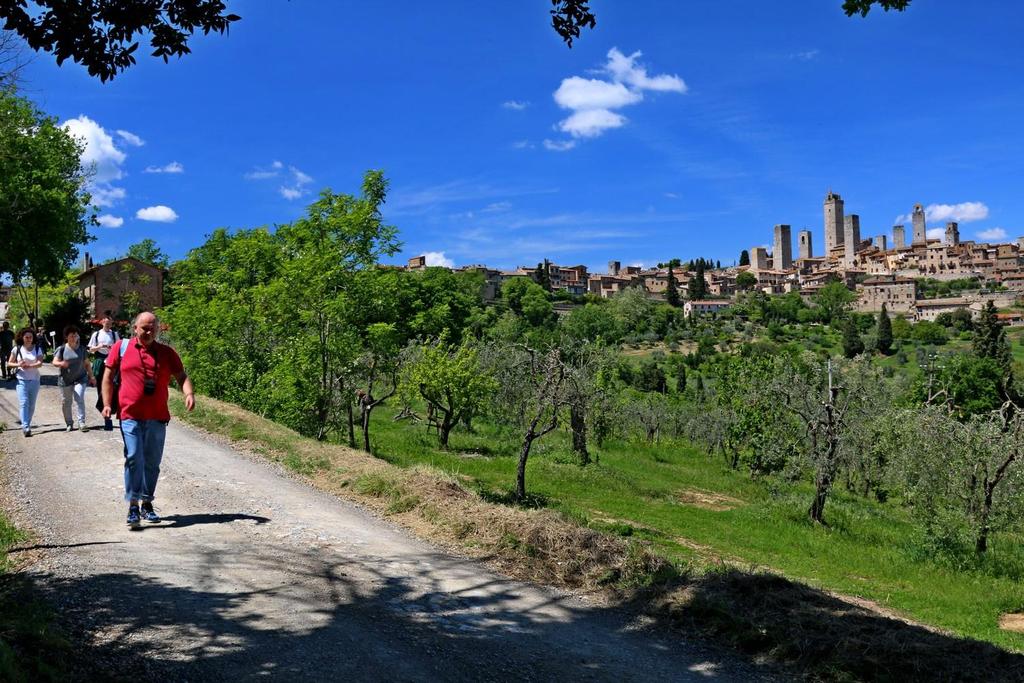 Dzień 4 19 maj 2018 Zobaczymy słynny rejon Crete Senesi, gdzie nasycimy zmysły esencją Toskanii.