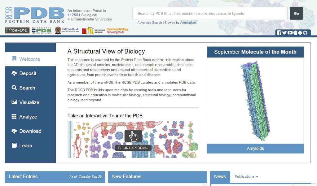 Protein Data Bank