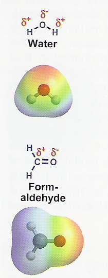 molekułami niepolarnymi siły