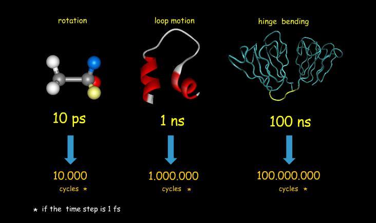 Skala czasowa ruchów białek modelowanie